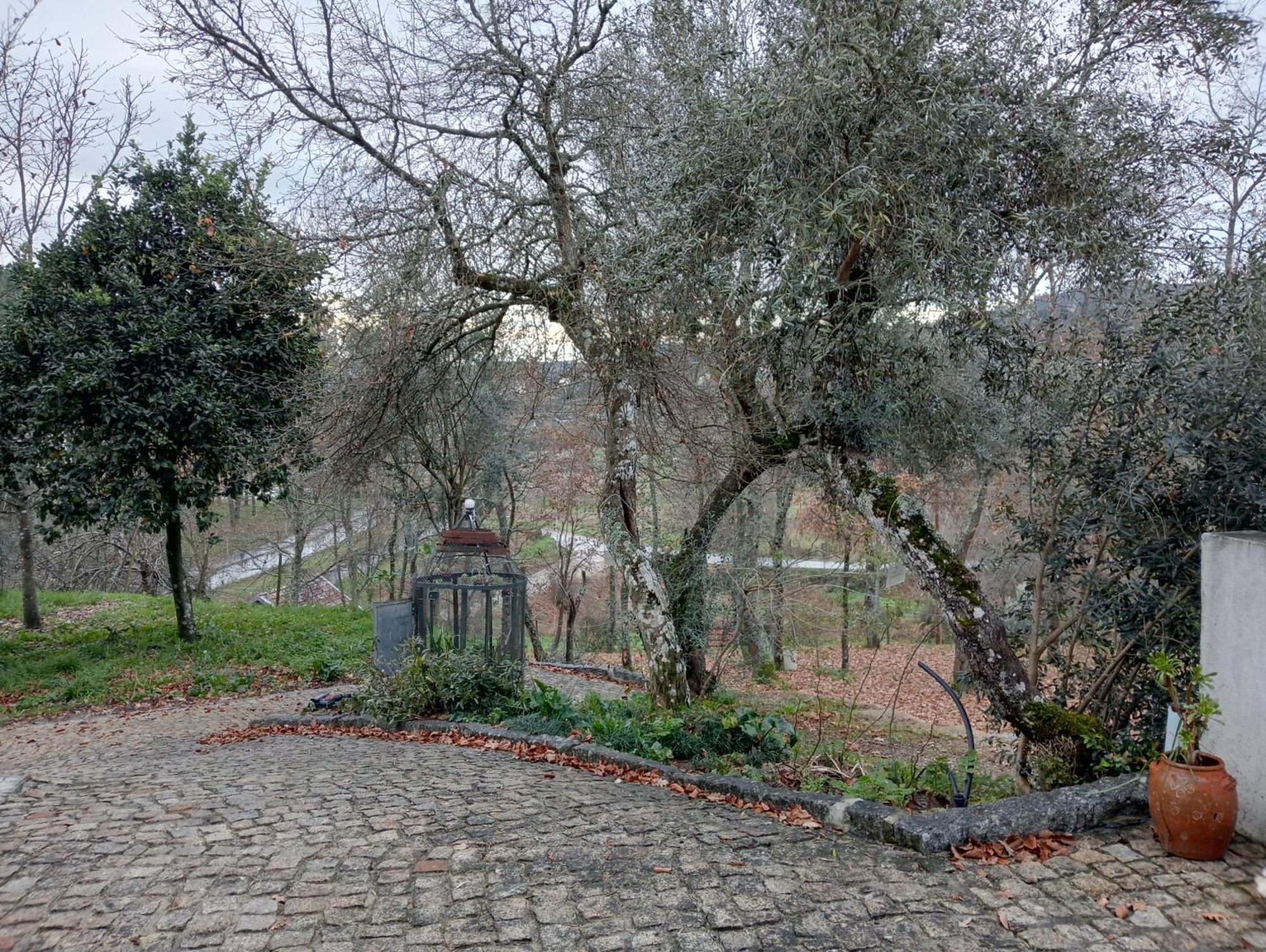 Vianashome Amarante Exterior foto